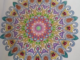 whatsapp bild 2023-08-08 um 12.29.21